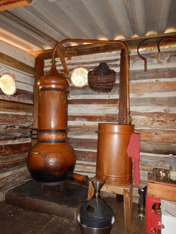eva distillation