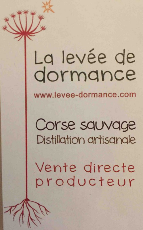 levee de dormance